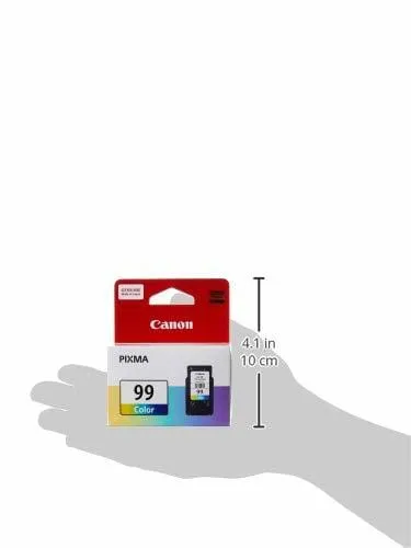 5.webp