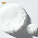 7.webp