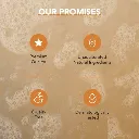 8.webp