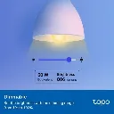 5.webp