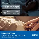 6.webp
