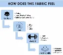 8.webp
