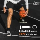 5.webp