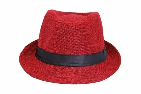 Fashion Fedora Hat for Mens
