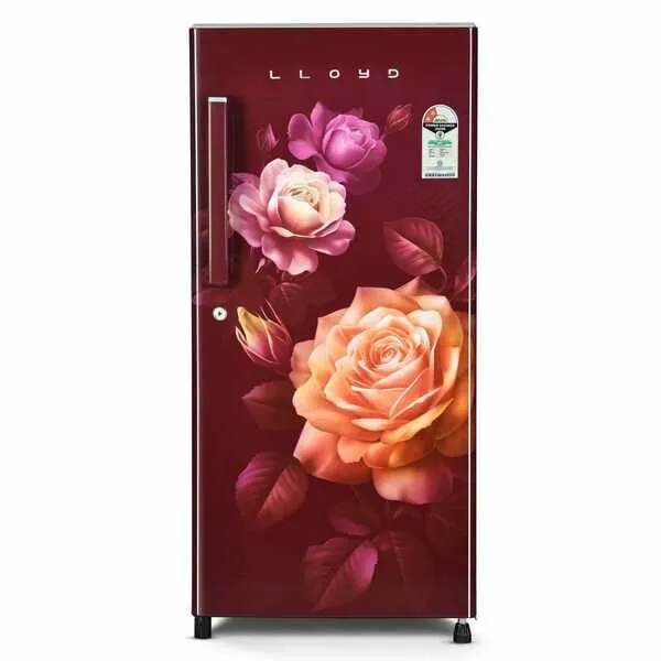 Lloyd 175 Litre 2 Star Single Door Refrigerator GLDG192AFWCF (2026) (Fluerish Wine)