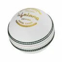 Lifelong Cricket Leather Ball – 4-Piece Hand-Stitched, Genuine Leather, Premium Lacquer, High Abrasion Resistance, ICC Standard 156g – Ideal for T20 Match & Training – White, Pack of 1