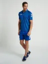 Hummel Men's Polyester Polo T-Shirt (True Blue) | Pack of 1 | Sports & Casual Polo | Best Price