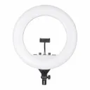 Professional Platinum DPRL-19RT LED Ring Light Runs on AC/DC Power with No Shadow apertures | Ideal use for Makeup, Video Shoot, Live Stream Fashion Photography